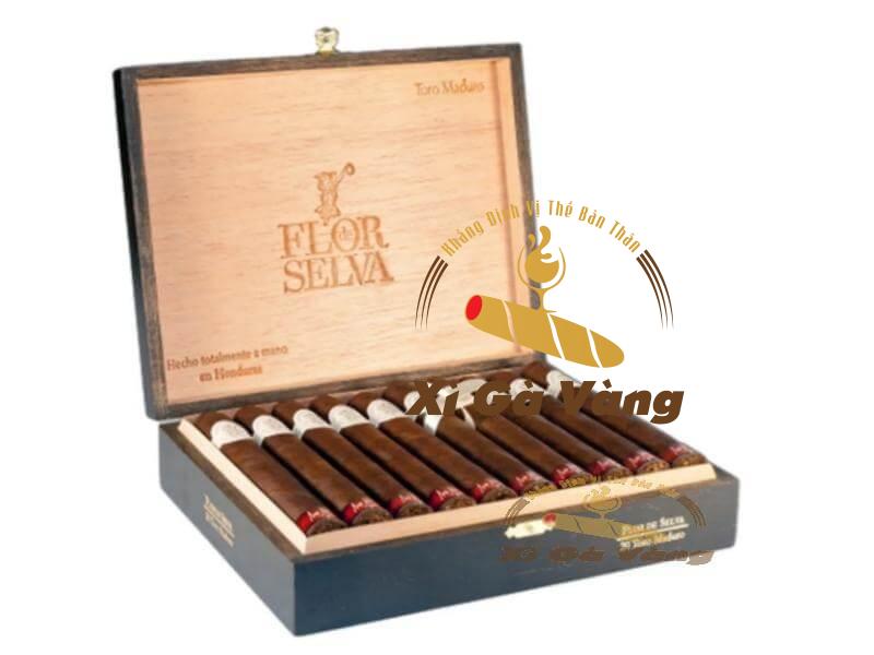 Tìm hiểu xuất xứ của xì gà Maya Selva No 15 Maduro